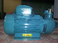 Export Pumps Monoblock