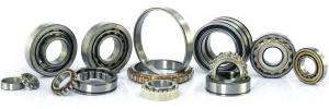 Cylindrical Roller Bearings