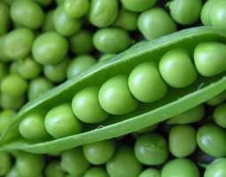 Fresh Green Peas