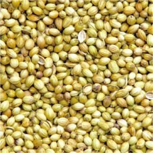 Coriander Seeds