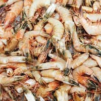 Frozen Shrimps