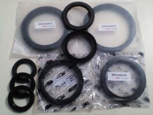 Hydraulic Seals