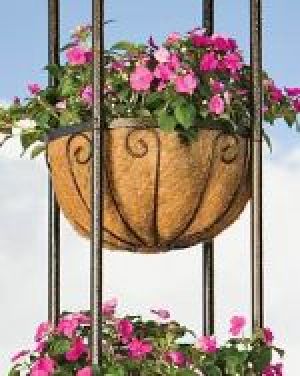 Coir Hanging Baskets Liners