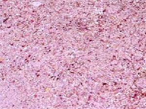 Dehydrated Pink Onion Granules