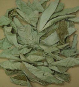 Dried Banaba Leaves