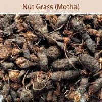 Nagarmotha Nuts