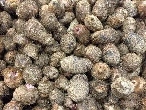 Taro Root