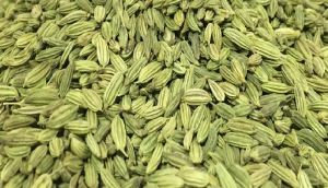 Fennel Seeds