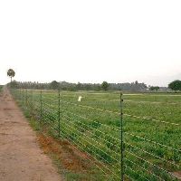 Agriculture Solar Fence