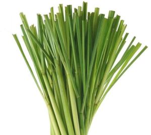 Lemon Grass