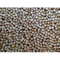 Natural Dried Chick Peas