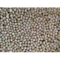 Nutritional Dried Chick Peas