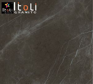 Polished Vitrified Tiles