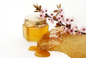 Acacia Honey