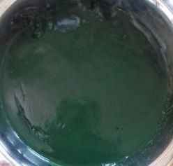 Netrins Spirulina Mother Culture