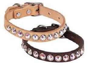 Dog Collars