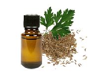 Parsley Oil