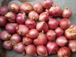 Fresh Small Onion