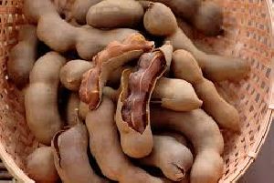 Tamarind Pods