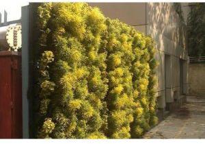 Natural Green Wall Installation Services