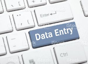 International Data Entry Work