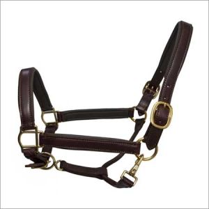 Leather Halters