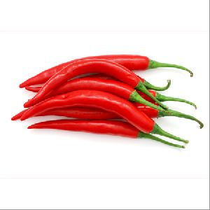 Fresh Red Chilli