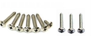 Stainless Steel Screws