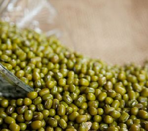 Green Mung Beans