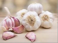 pure garlic