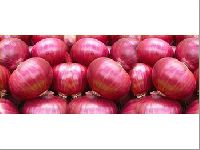 Pure Onion