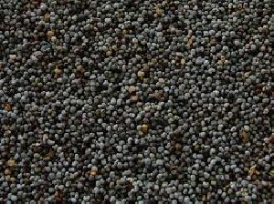 Black Poppy Seeds