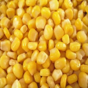 Packaged Frozen Sweet Corn