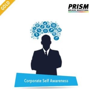 Corporate Self Awareness - Gold