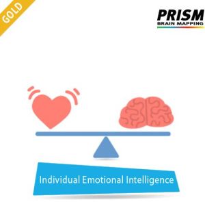 Gold Individual Emotional Intelligence services