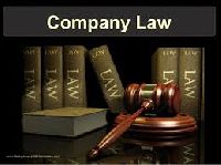 Company Law Matters Functions