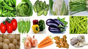 Fresh Vegetables