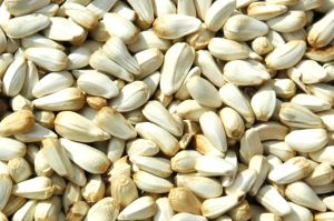 White Safflower Seeds