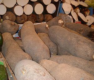 African Yam