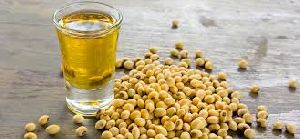 Soybean Seed Oil