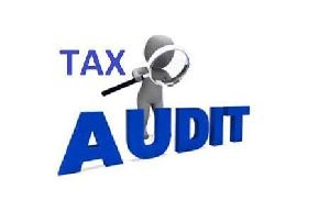Tax Auditing Services