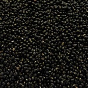 Black Sabut Urad