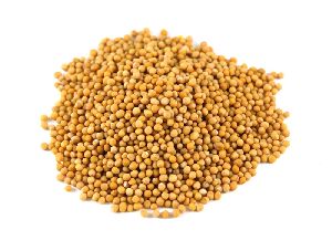 Yellow Mustard Seeds