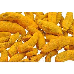 fresh turmeric finger