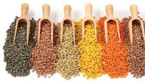 Indian Pulses