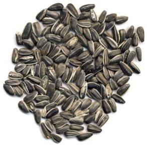 Sunflower Seeds