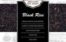 500 Gram Black Rice