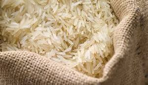 basmatri rice