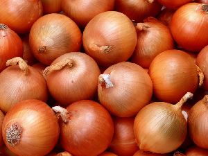 Fresh Yellow Onion