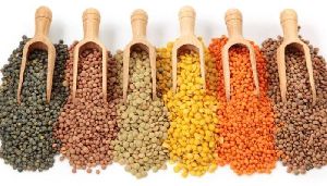 Indian Pulses